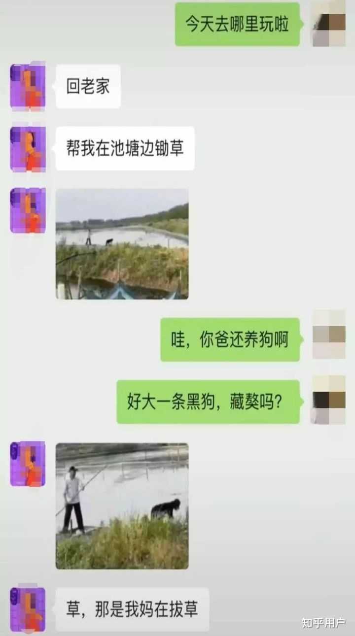 夸夸群神仙评论合集搞笑聊天记录