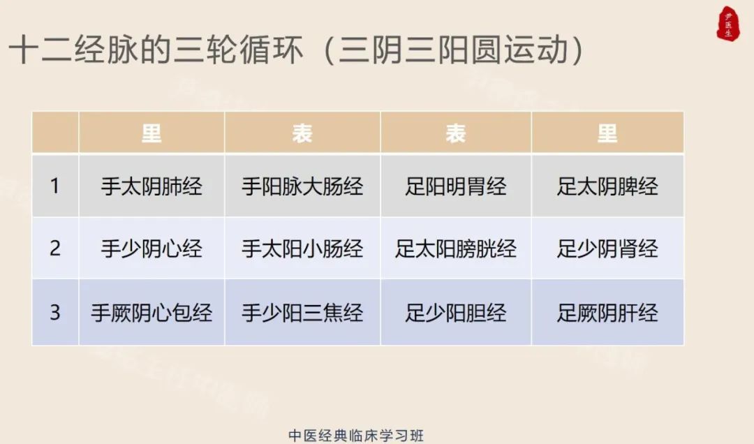 弥络蓝序新手入门全解析配图