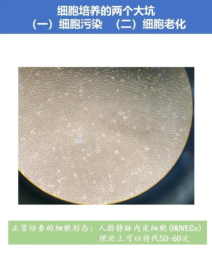 弥络蓝序常见错误避坑配图