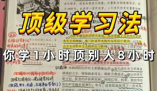 背记王高效记忆法帮你快速记住考点 真实使用体验分享