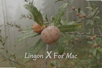 Lingon X For Mac�ٷ����°�����