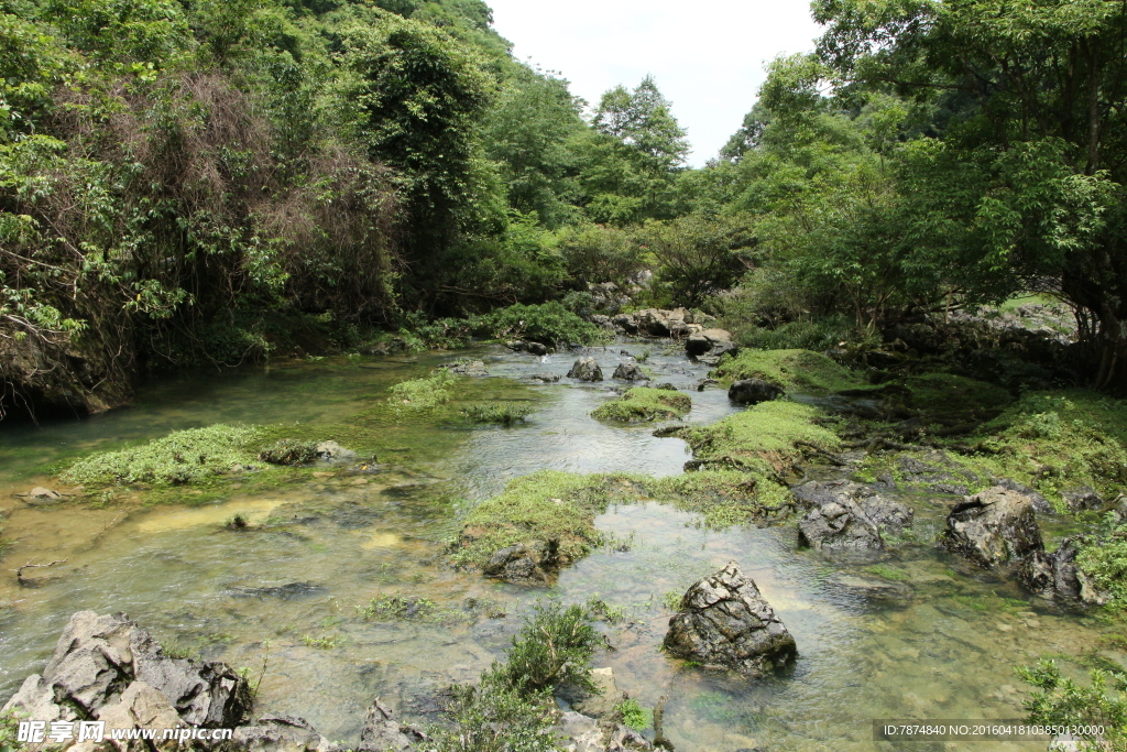 贵州好水 天然山泉水源实地取水场景 贵州山区清澈溪流