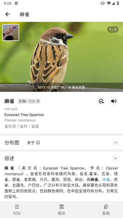 懂鸟安卓版 鸟类识别界面截图