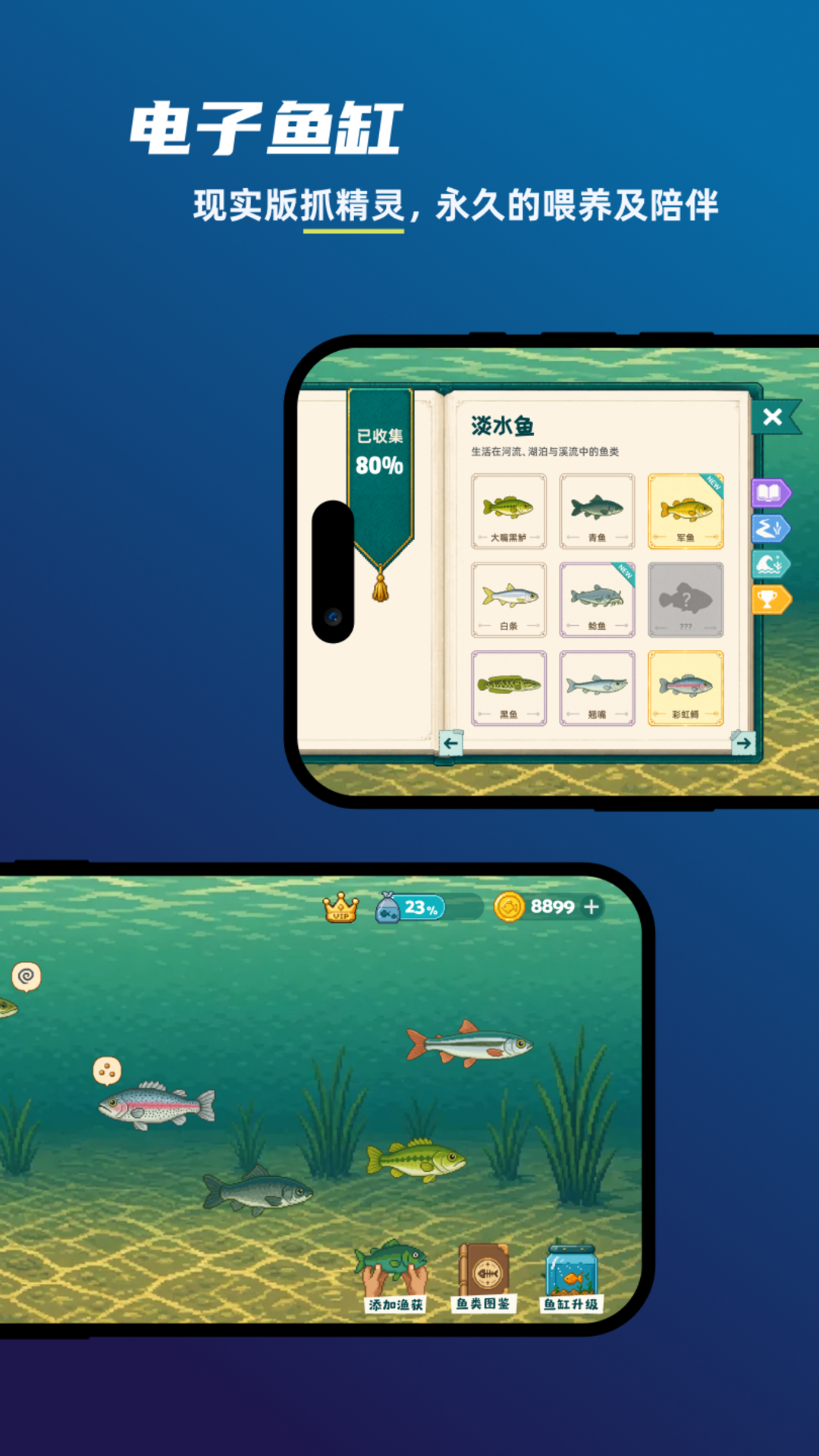 ����2.0.1 ���㸨������