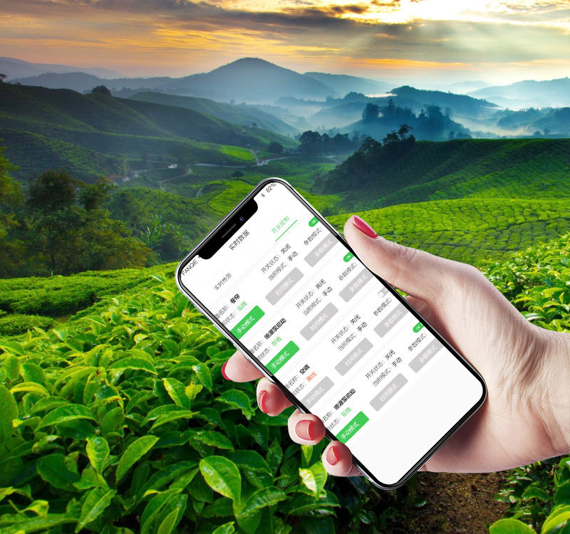 助民网app(农业服务) 农户使用手机查看种植信息