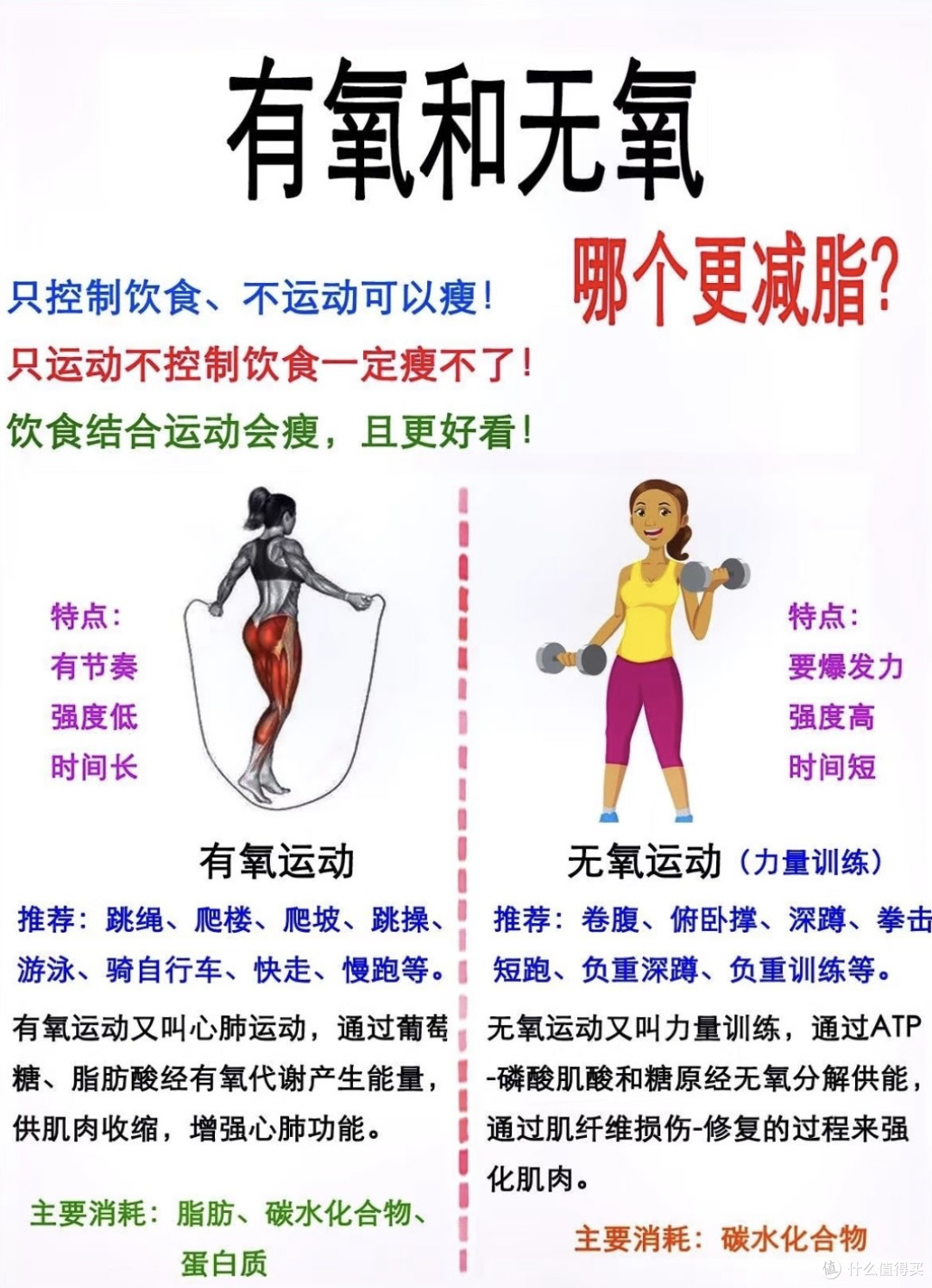 好动教练力量有氧柔韧综合训练配图