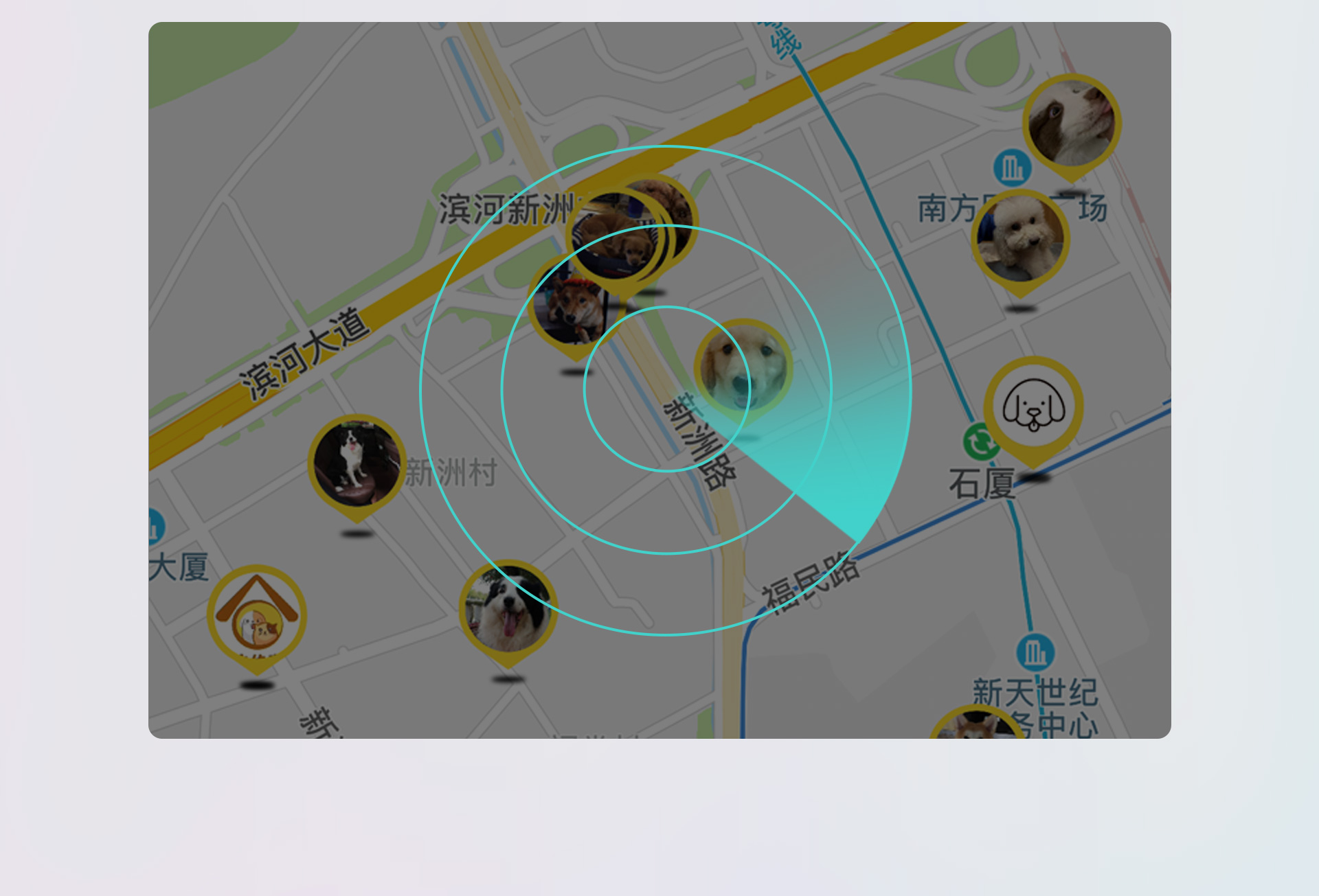 陪彼宠物追踪版 定位轨迹对比 城市与郊区实测图