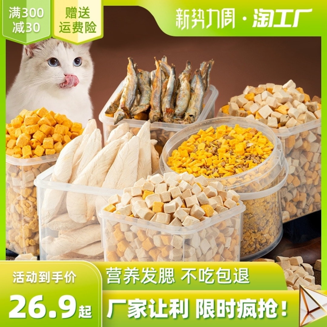 �Ⱦ���Щ��è �����ʳ�ڻ�ʵ��ͼ