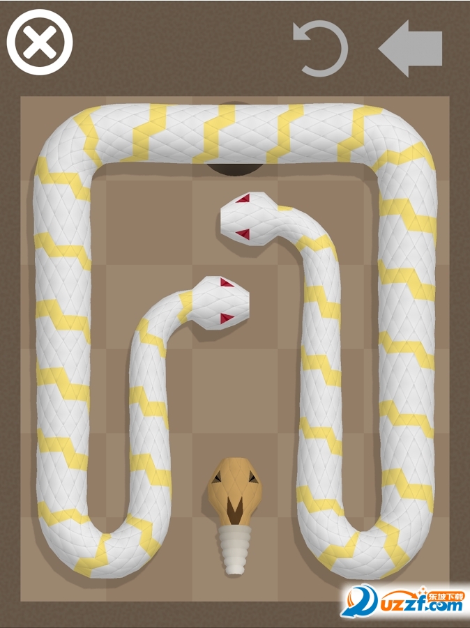 A Snake(一条蛇的故事) 惊险遭遇全过程真实记录配图