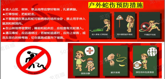 A Snake(一条蛇的故事) 蛇类误区科普与防范知识配图