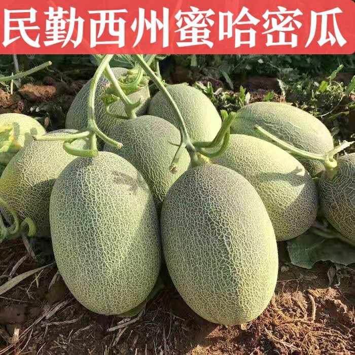 晓蜜官方旗舰店水果下单售后复购经验