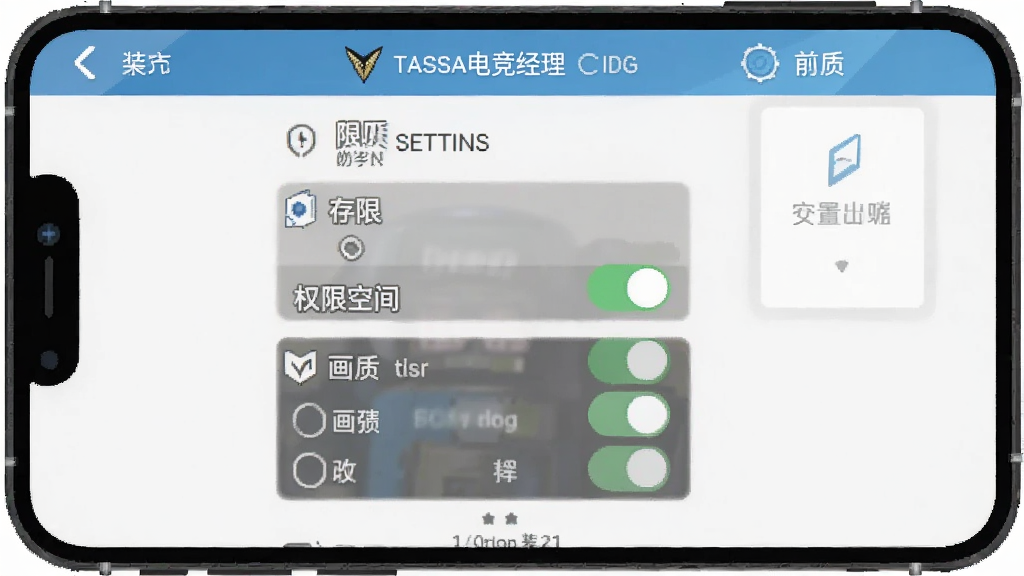 一张手机游戏安装设置界面的示意图,画面显示三角洲电竞经理的权限设置和存储选择页面,有存储空间、权限开关、画质选项等设置项,背景为简洁的手机界面风格,布局清晰,画质干净