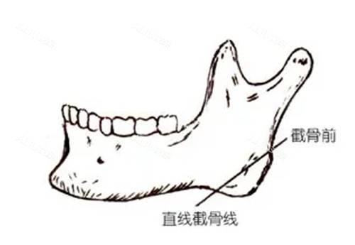 笺骨笔记录 安卓版 界面截图