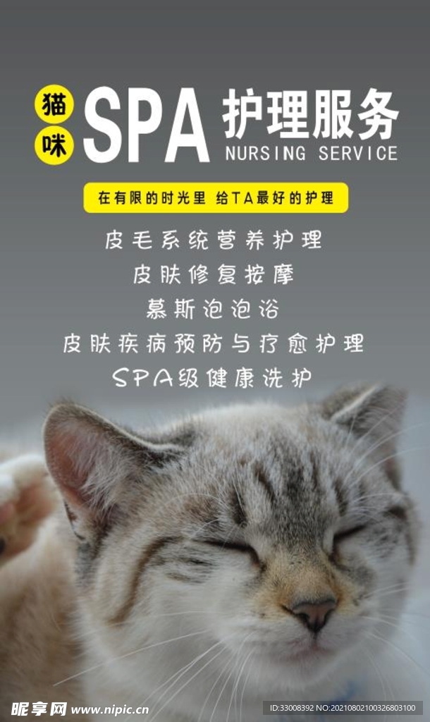 CatSpa(猫精灵护理店)专业猫咪洗护美容套餐推荐 猫咪洗澡护理场景