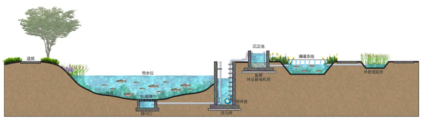 塘总管池塘管理全攻略封面图 鱼塘水质调节与日常巡塘场景