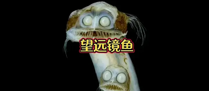 深海进化论 万米深渊生物进化揭秘 深海极端环境生命生存全景图
