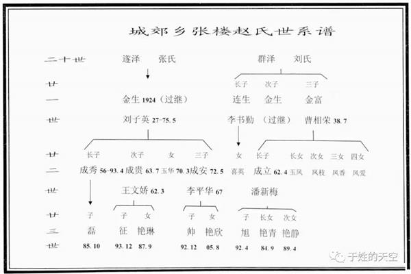 谱算子族谱常见问题与新手避坑经验