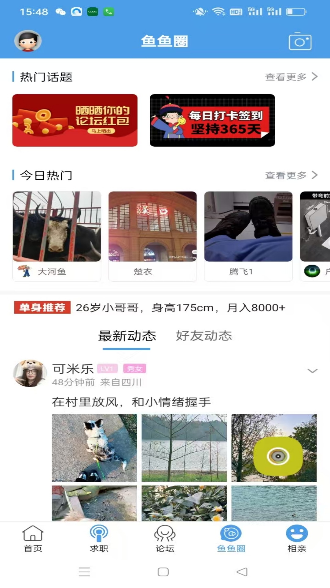 洪雅论坛便民信息汇总 停水停电 二手交易 租房