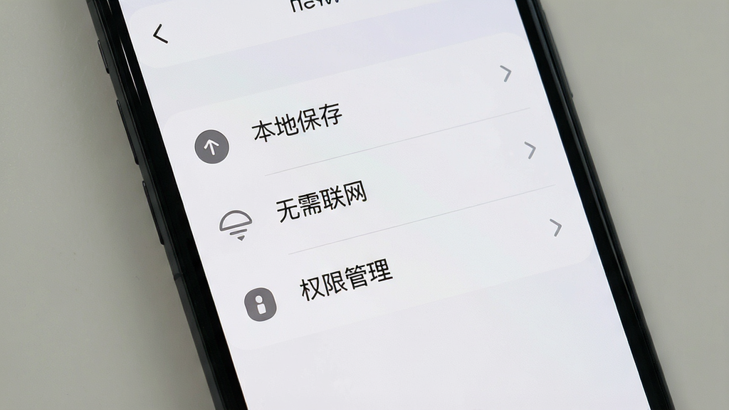 一张手机设置界面展示本地存储与权限管理,主体为手机屏幕,布局为列表形式,列表项包括“本地保存”“无需联网”“权限管理”等,风格素雅极简,细节包含浅色背景、深灰文字、简洁图标,画质高清,画面干净,无多余元素。