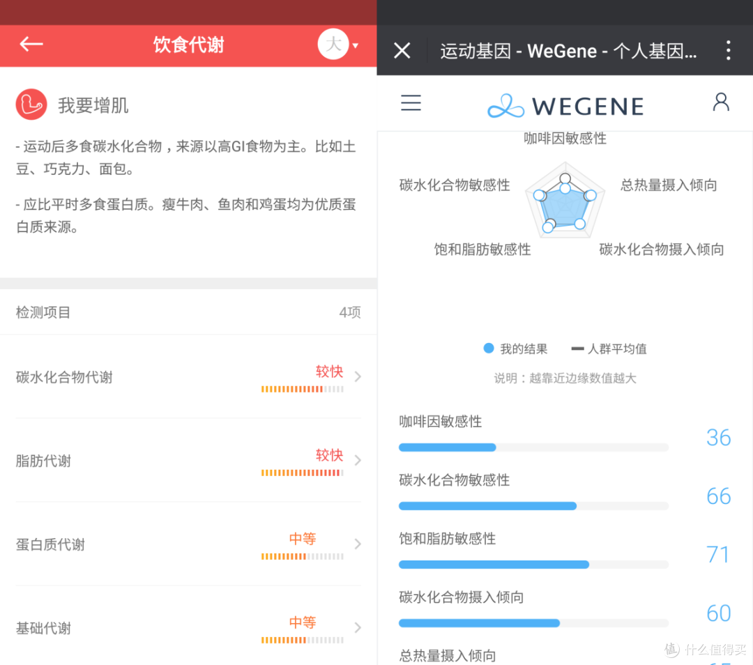 23魔方app基因检测结果解读教程 手机查看祖源健康报告界面