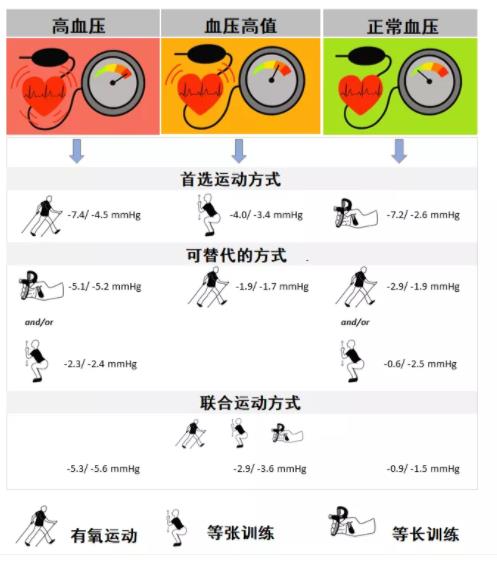 乐尔健康 科学管理血压 运动与作息建议 配图