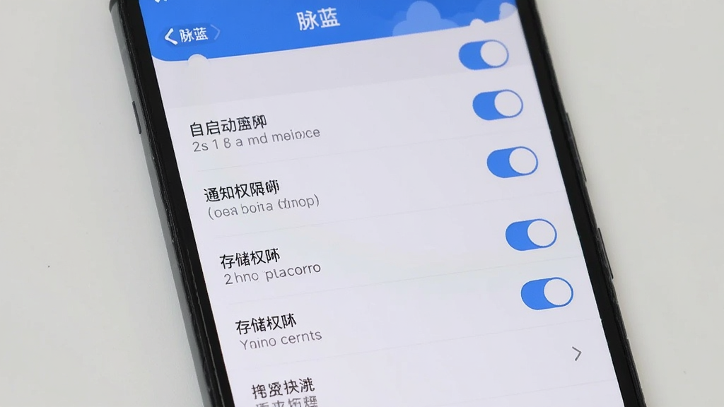 主体为一部手机屏幕显示脉蓝应用的权限设置页面,布局为纵向列表排列各项权限开关,排版清晰,风格为系统设置界面风格,细节包括自启动开关、通知权限、存储权限等选项,画面中带有