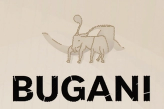 BUGANi�������ų������⼰�������