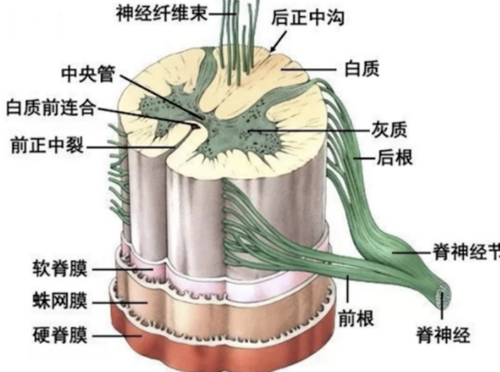 早纤生活 安卓版 功能界面截图