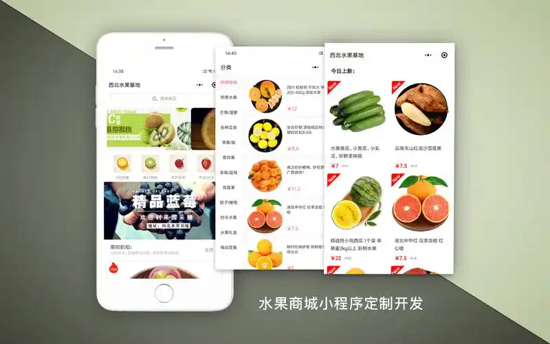 菜亿箩活动优惠券与凑单技巧展示图