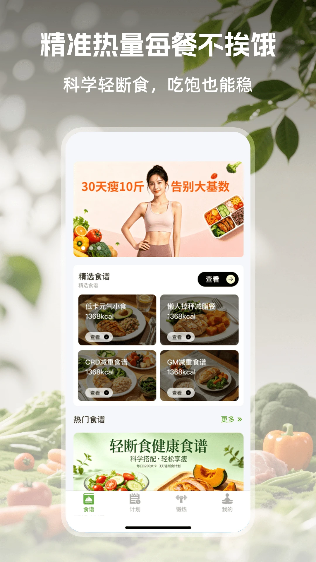 ��Ҷ���ʳ1.0.3 ��Ъ��ʳ����