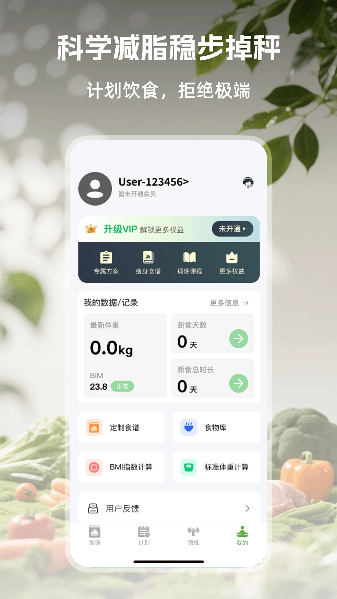 ��Ҷ���ʳ1.0.3 ��Ъ��ʳ����