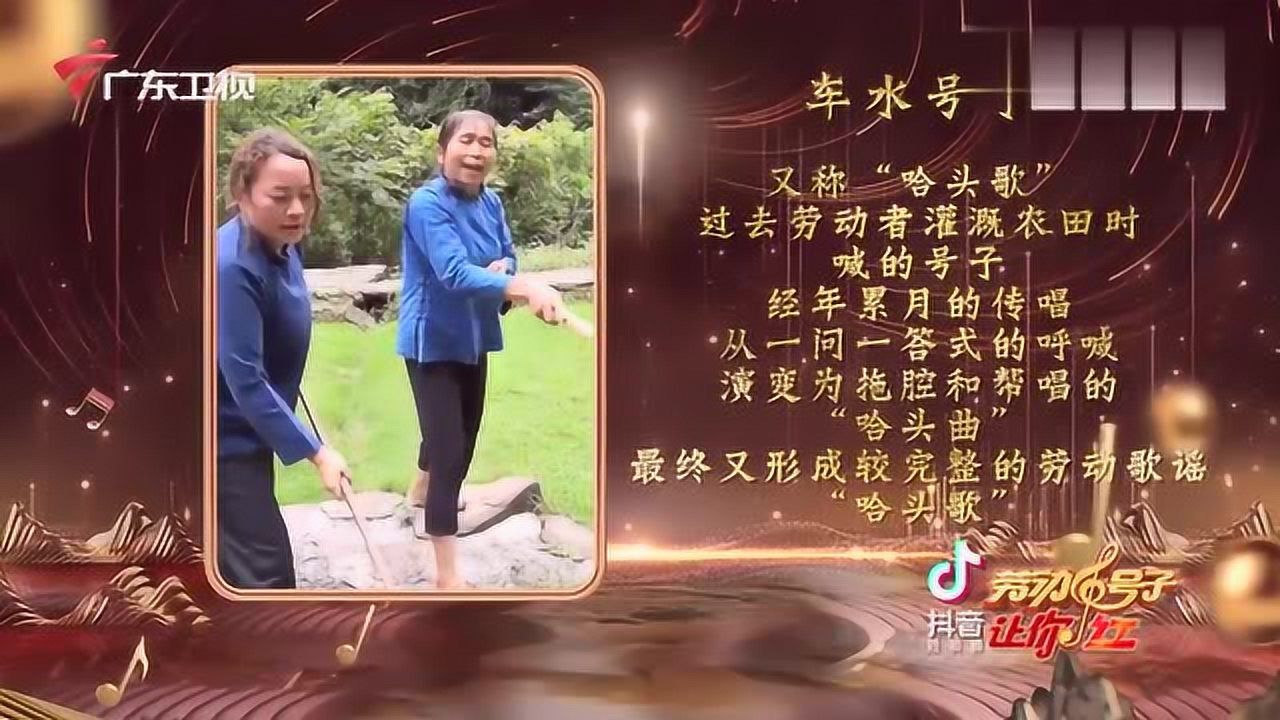 天纪排盘Pro安卓版使用教程图解