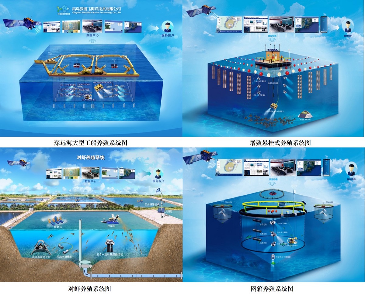 海洋渔业水质监测与投饵设备工作图