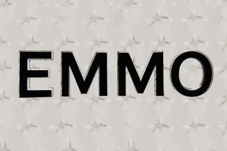 EMMOģ������ָ����ʵսӦ�ý���