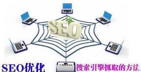 蜘蛛查找最新方法快速找到目标内容 实操技巧分享