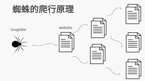 蜘蛛查找站内搜索与时间筛选 实用方法
