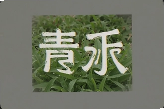 ���ȥˮӡ�̳�һ��ȥ����Ƶˮӡ�޺۱���