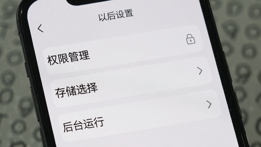 一张手机屏幕显示为了以后APP设置页面的截图,页面中包含“权限管理”“存储选择”“后台运行”等选项,背景为浅灰色,风格为极简UI展示,细节清晰,画质干净,无多余元素