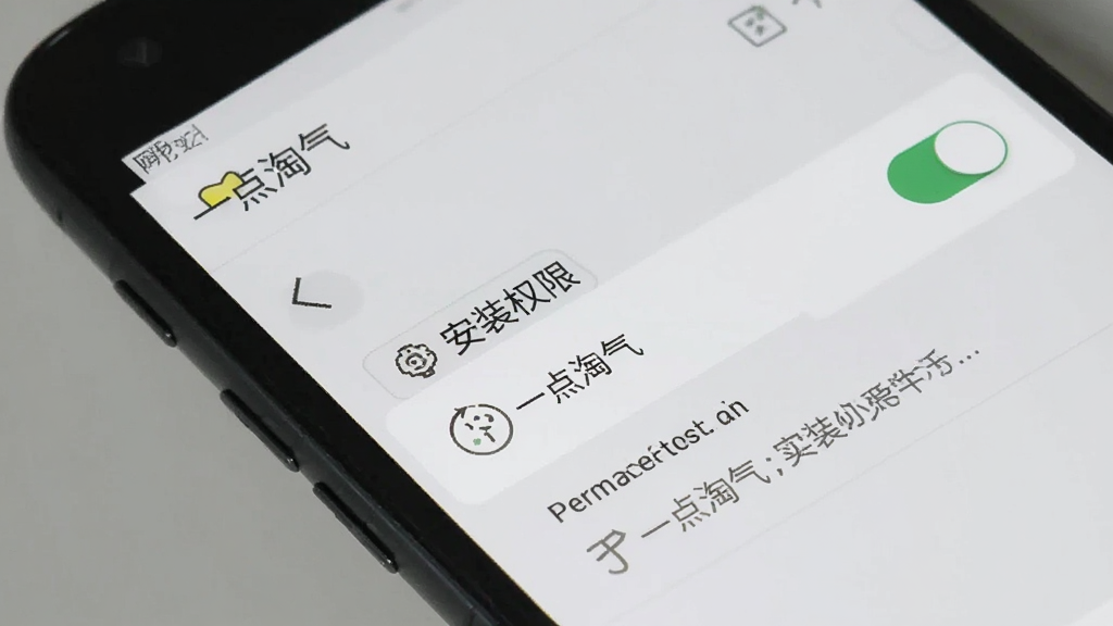一张手机屏幕截图风格的图片,展示“一点淘气”APP在安卓手机上的安装权限设置界面,画面中有权限开关按钮和提示文字,背景为浅灰色,整体风格简洁明了,画质清晰,干净无杂乱元素