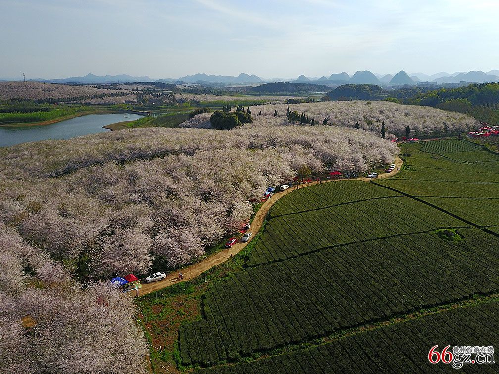 voibots 安卓版 界面截图