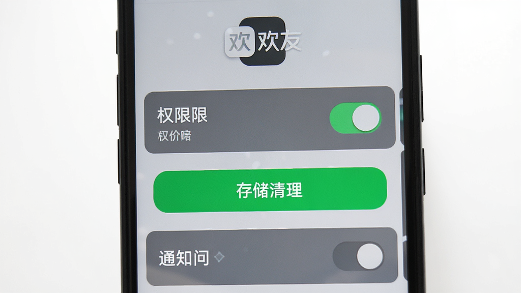 主体为手机屏幕显示欢友设置界面,界面中包含权限开关、存储清理按钮和通知选项,布局为纵向列表,排版清晰,风格为极简工具风,细节包含“欢友”图标在顶部,画质高清,画面干净,无多余元素