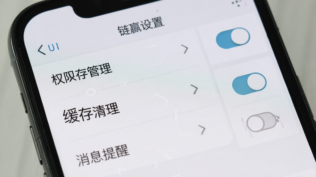 一张展示链赢设置界面的图片,画面为手机屏幕特写,屏幕中显示权限管理、缓存清理、消息提醒等选项,风格简洁实用,配色浅灰白,细节包括开关按钮、箭头图标,画质清晰,干净,无多余元素