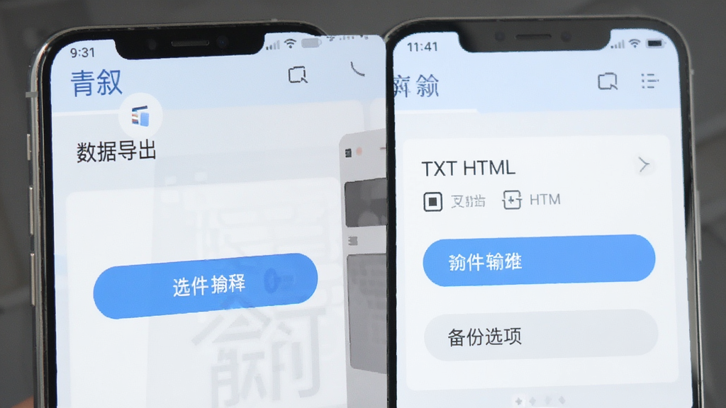 青叙 数据导出 界面 手机 导出按钮 文件格式选择 TXT HTML 备份选项 淡蓝色调 高清 无多余装饰