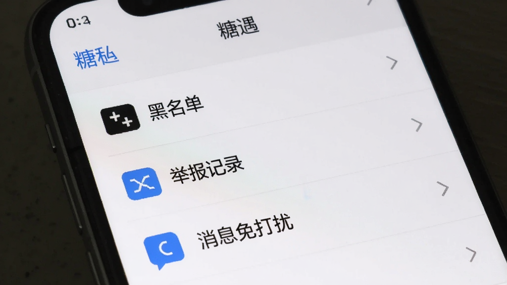 手机屏幕展示“糖遇”隐私设置界面,列表项包含黑名单、举报记录、消息免打扰等选项,界面以白色为底,图标为蓝色系,整体风格规整,画质清晰,无多余元素