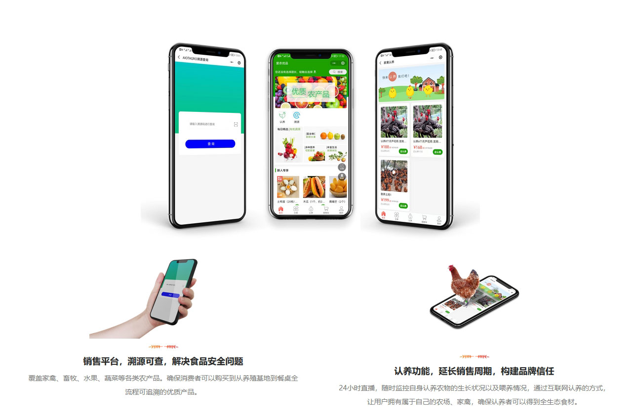 ������ũ������Զ˰�װ�����볣���������