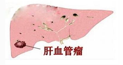 精确指南针 安卓版 操作界面