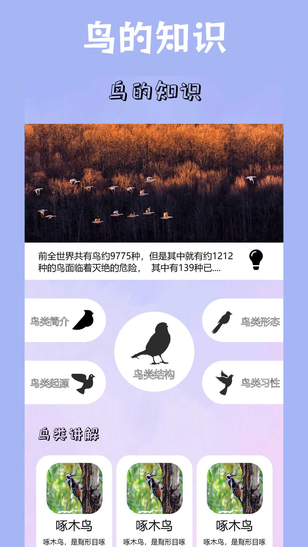 小鸟启程安卓版 安装界面截图