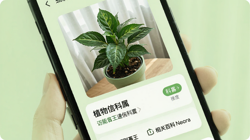 万能识别王软件识别植物时的手机界面,屏幕中显示一株绿色盆栽的照片,照片下方出现植物名称与科属信息卡片,卡片内文字清晰,界面背景为浅绿色调,风格清新自然,细节包含识别置信度标签与相关百科入口,画质高清,画面干净,无多余元素