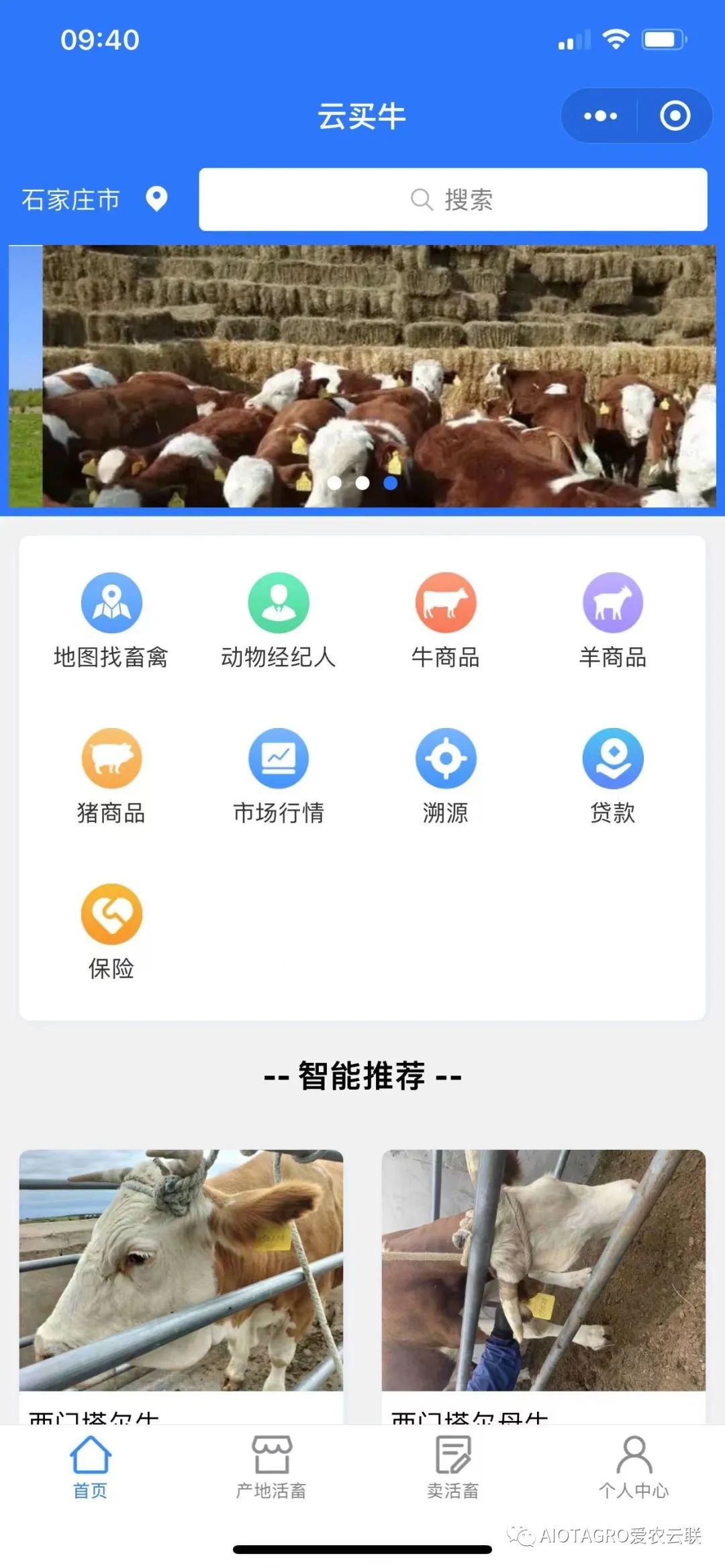 南方牛网app养牛人手机买牛卖牛交易平台界面截图