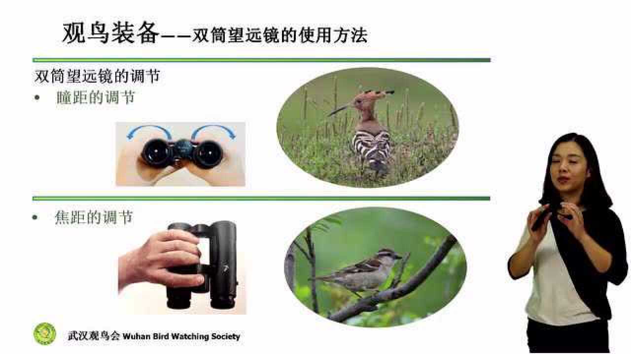 Go Birding 观鸟入门新手装备与户外观察场景